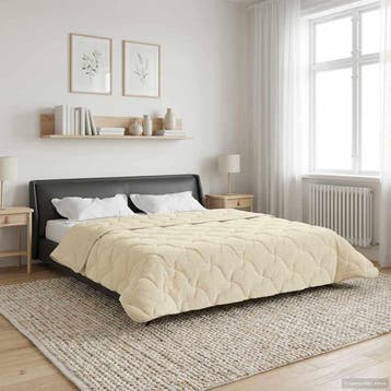 vidaXL Zomer Deken Crème 240 x 260 cm Microvezel en Teddy, Verzenden, Nieuw