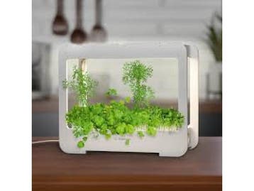Veiling - LED Plantenkweekbox met Timer - 4000K Groeilicht -, Maison & Meubles, Plantes d'intérieur