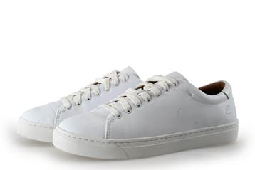 Timberland Sneakers in maat 42 Wit, Kleding | Heren, Schoenen, Verzenden, Sneakers, Gedragen, Wit