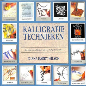 KALLIGRAFIETECHNIEKEN 9789072267221 D. Hardy Wilson, Verzenden, Gelezen, D. Hardy Wilson