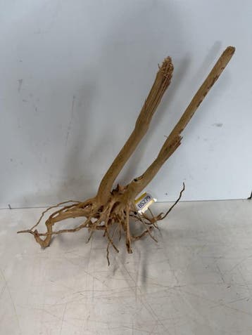 Boutique Stump Selected BS279 - 68x32x33cm (Natuurlijk hout), Ophalen of Verzenden, Nieuw, Plant(en), Steen of Hout