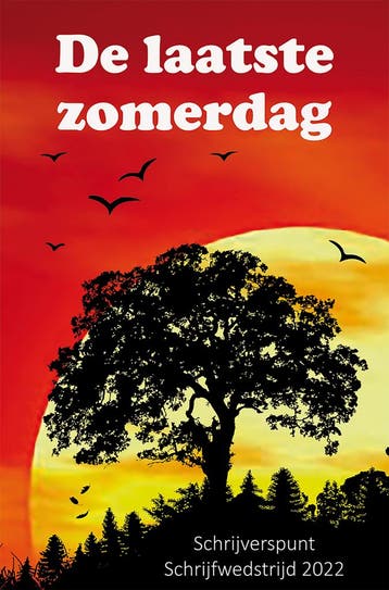 De laatste zomerdag 9789462666153, Verzenden, Zo goed als nieuw