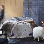 vidaXL Vloerkleed 180x220 cm echte koeienhuid bruin en wit, Verzenden, Nieuw