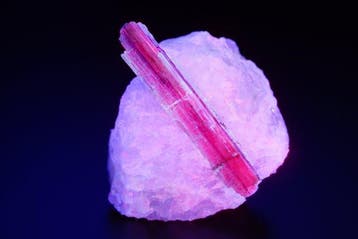 TOP Blau Kyaniet in Kwarts met Sterke UV-fluorescentie - van