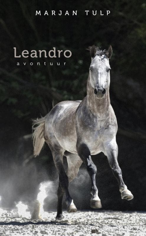 Leandro 9789082109504 Marjan Tulp, Livres, Romans, Envoi