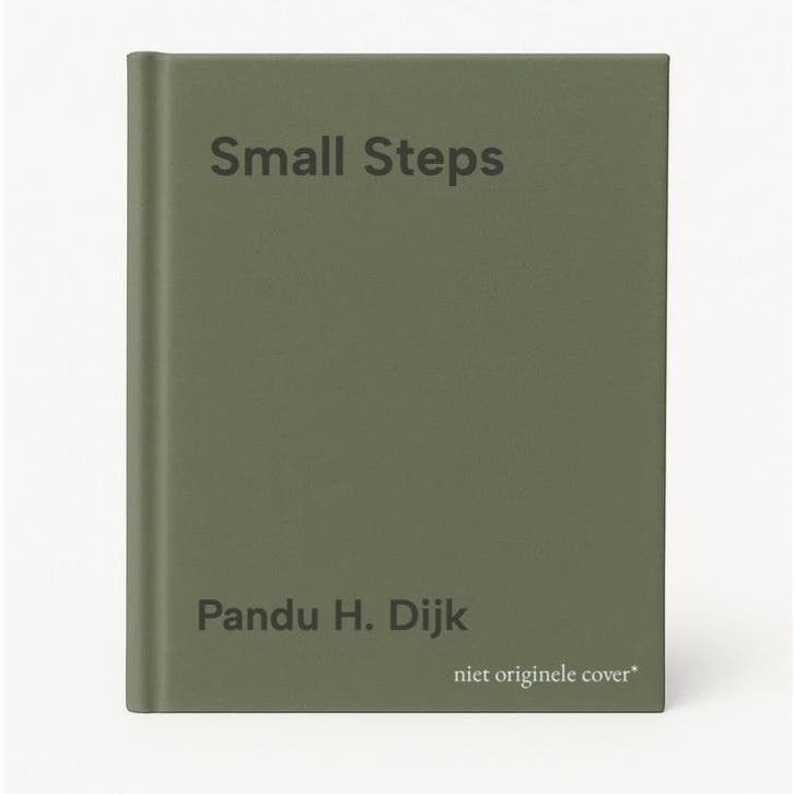Small Steps 9781783064342 Pandu H. Dijk, Boeken, Taal | Engels, Zo goed als nieuw, Verzenden
