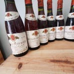 2x 1995, 3x 1994 Chiroubles, 1991, 2x 1993 Gigondas, 2x, Verzamelen, Wijnen, Nieuw