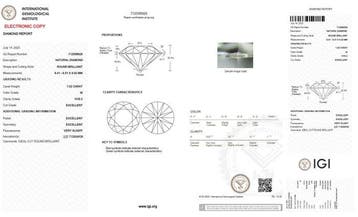 1 pcs Diamant (Natuurlijk) - 1.02 ct - Rond - M - VVS2 -, Nieuw