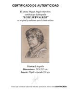 Miguel Ángel Alfaro Rey - Luke Skywalker pilot, Collections
