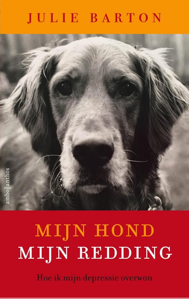 Mijn hond, mijn redding 9789026335235 Julie Barton, Livres, Littérature, Envoi