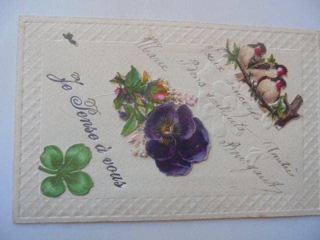De Vogels - Ansichtkaart (50) - 1900-1980, Collections, Cartes postales | Étranger