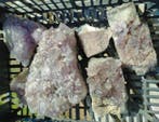 amethist Druzen- 5440 g - (6), Verzamelen