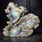 labradoriet marienleven-beeldhouwwerk – Onderwaterwereld met