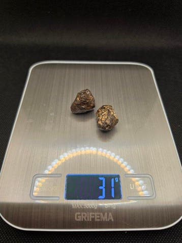 Paire de météorites – NWA 869 Météorite de Chondrite - 31 g