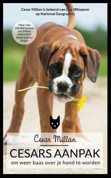 Cesars aanpak 9789044351064 Melissa Jo Peltier, Verzenden, Gelezen, Melissa Jo Peltier