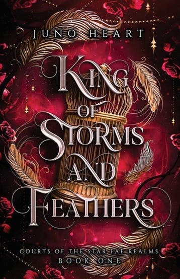 King of Storms and Feathers 9780645624274 Juno Heart, Verzenden, Gelezen, Juno Heart