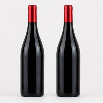 2022 Domaine La Bergerie de lArcade - Languedoc - 2