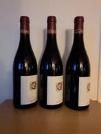 2023 Domaine Berthaut-Gerbet - Fixin - 3 Flessen (0.75