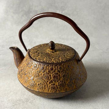 Nambu Tekki - Seikodo - Théière - Fonte -