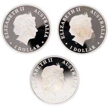 Australië. 1 Dollar 2010 - Discover Australia 1 Oz (3