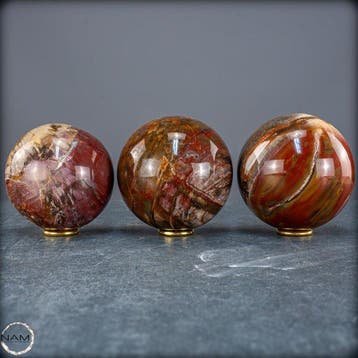 Versteend hout bolletjes-set – Exclusieve, Verzamelen