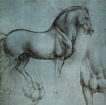 Leonardo Da Vinci - “Studio di cavalli, 1490”. - 50 x 35 cm.