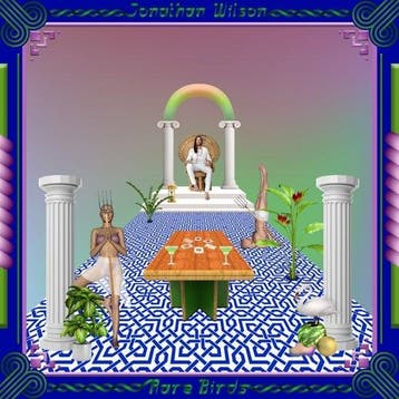 Jonathan Wilson - Rare Birds op CD, Verzenden, Nieuw in verpakking