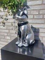 Statue, silver bronze cat with tie and sunglasses - 29 cm -