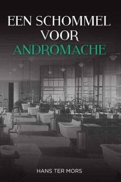 Een schommel voor Andromache 9789051798982 Hans ter Mors, Verzenden, Gelezen, Hans ter Mors