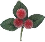 Besjes Frosted Raspberry Rood Kunstbloem 10 cm Zak 6 stuks, Nieuw