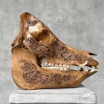 Geen reserveprijs -Prachtig bruin met de hand uitgehouwen, Antiek en Kunst