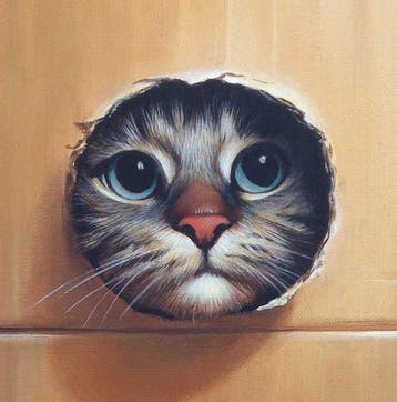 Gala - Cat in a box painting ~Fragile~