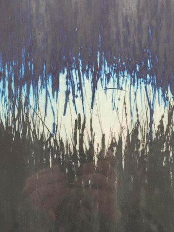 Birgit Sauer (1972) - Ikon