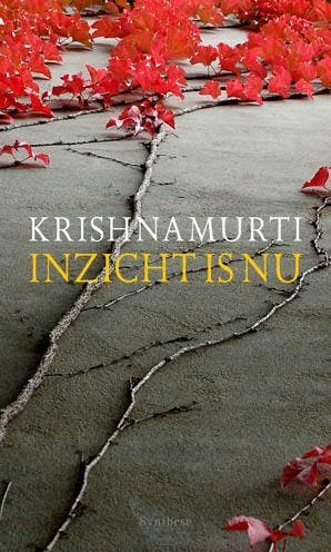 Inzicht is nu 9789062711079 J. Krishanamurti, Verzenden, Gelezen, J. Krishanamurti