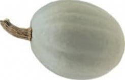 Kiszombori Pompoen zaden, Hobby & Loisirs créatifs, Bricolage