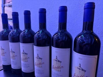 2019 - 2024 Tenuta San Guido, Guidalberto - Toscane IGT - 6, Verzamelen, Nieuw