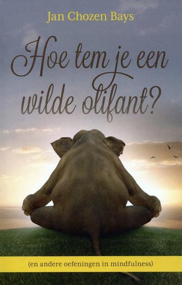 Hoe tem je een wilde olifant? - Jan Chozen Bays - 9789401301, Verzenden