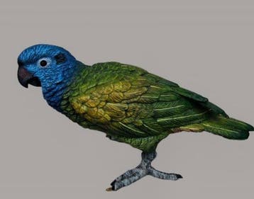 Figuur - Amazon Parrot - Koud geverfd brons