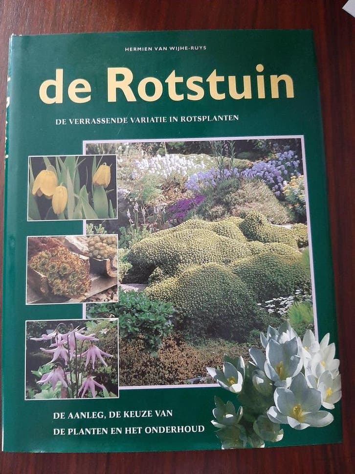 ROTSTUIN, DE 9789062487929 H. van Wijhe-Ruys, Boeken, Hobby en Vrije tijd, Gelezen, Verzenden