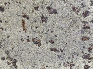 Marsmeteoriet Tarkint 001 Plak - 2.43 g - (1)