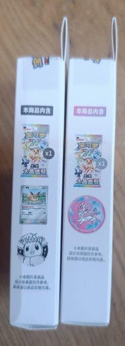 Pokémon - 2 Box - Pokémon TCG - 2x Terastal Gathering