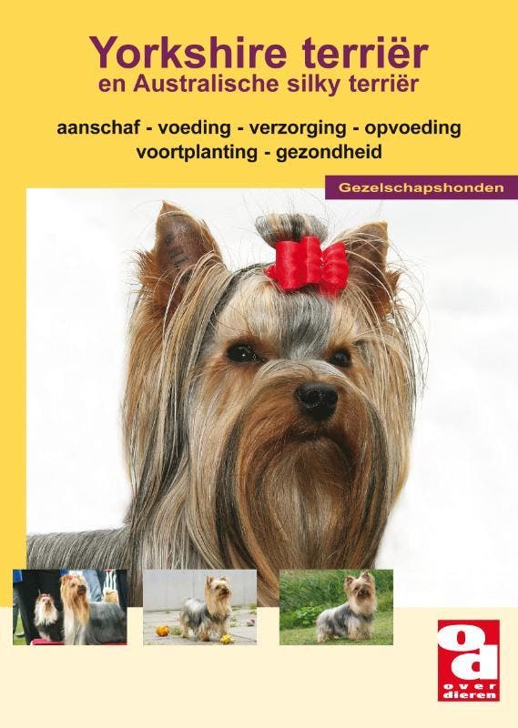 De Yorkshire terrier 9789058212474 C.S. Hermans, Livres, Loisirs & Temps libre, Envoi
