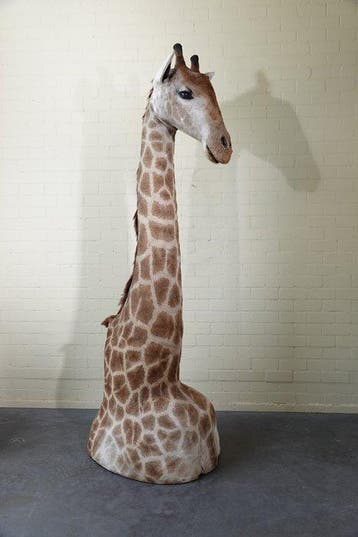 Grande et impressionnante girafe du Nord Support de corps, Nieuw