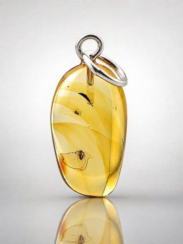 Uitzonderlijke Baltisch amber hanger – complete MOSQUITO met