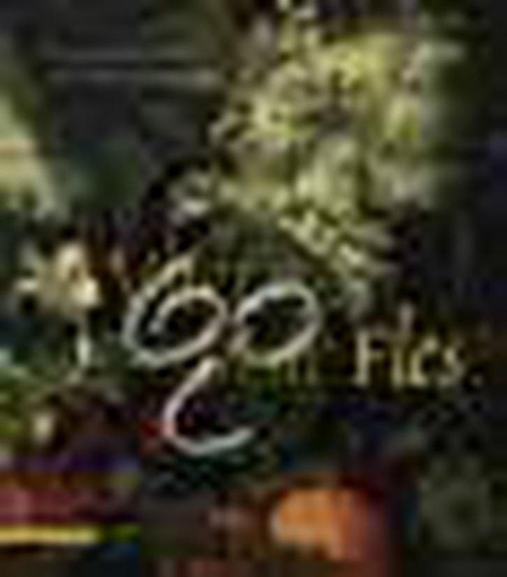 Vlier in de fles 9789045004266 Ria Loohuizen, Boeken, Kookboeken, Gelezen, Verzenden