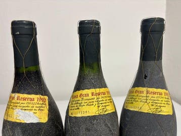 1993 Bodegas Faustino I - Rioja Gran Reserva - 3 Bouteilles, Collections, Vins