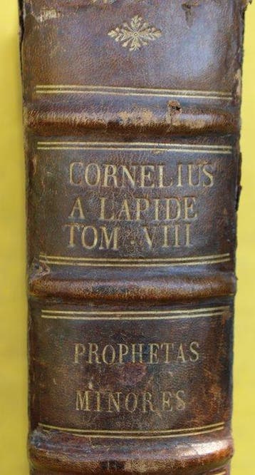 Commentaria in duodecim Prophetas minores. - 1673