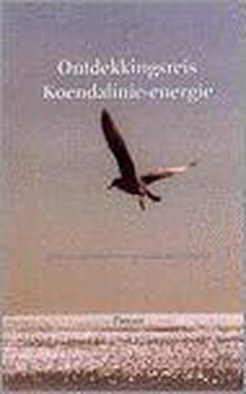 Ontdekkingsreis Koendalinie-energie 9789051791181 Pierjasi, Verzenden, Zo goed als nieuw, Pierjasi