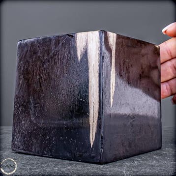 Versteend hout kubus – natuurkunst uit miljoenen jaren