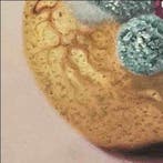 Eden Solis - Luxury Life time pear